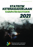 Statistik Ketenagakerjaan Kabupaten Bantaeng Tahun 2021